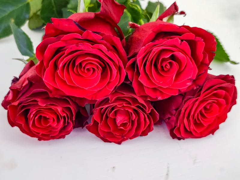 Rosas frescas en floristería interflora Barcelona